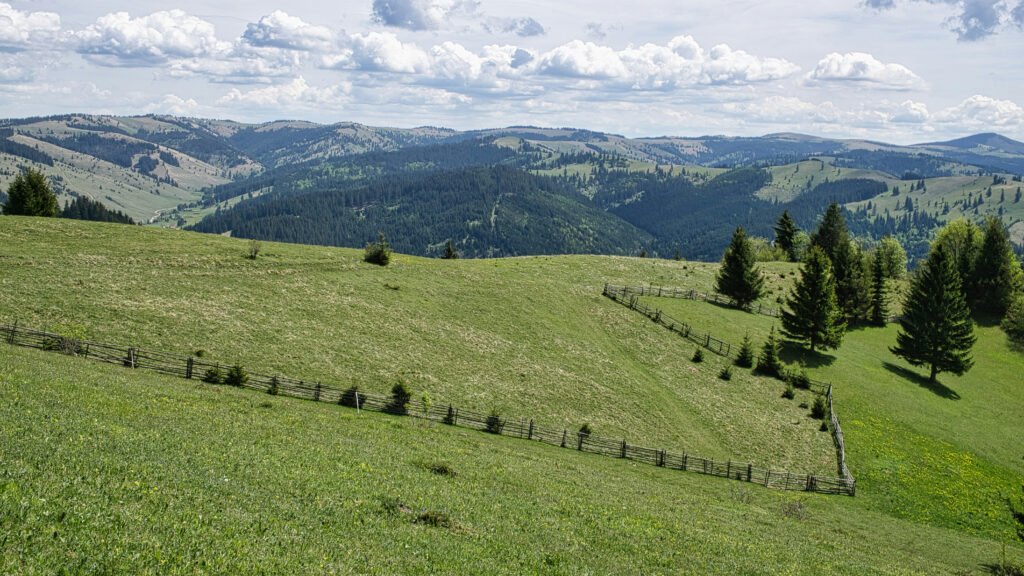 Rolling green hills with wooden fences, scattered fir trees, and distant forested ridges in Bucovina, Romania, under a partly cloudy sky.